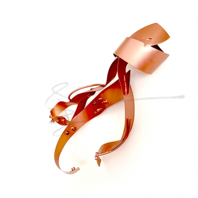 ISSIZ AHTAPOT, ISOLATED OCTOPUS