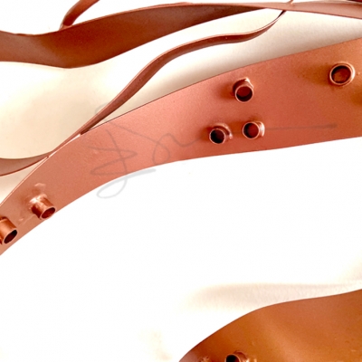 ISSIZ AHTAPOT, ISOLATED OCTOPUS