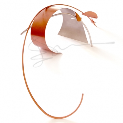 KUYRUĞUNDA DALGANIN ANISI, MEMORY OF THE WAVE IN HIS TAIL