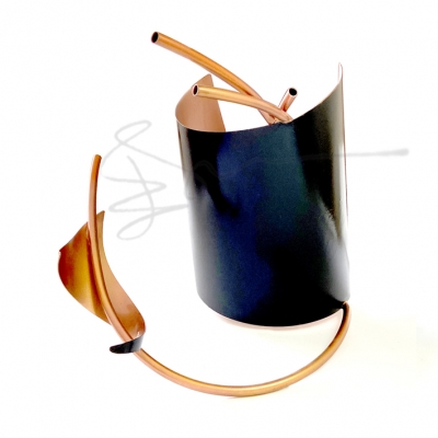 İÇİNE DÖNEN MERCAN, CORAL TURNING INSIDE