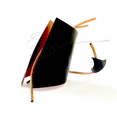 İÇİNE DÖNEN MERCAN, CORAL TURNING INSIDE